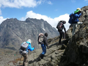 9- DAYS-RWENZORI MOUNTAIN HIKKING SAFARI