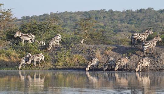 WILD UGANDA EXPERIENCE;ATHRILLING SAFARI ADVENTURE!!