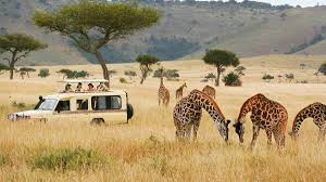 Safari in Kenya