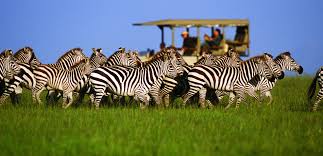 Experience Tanzania