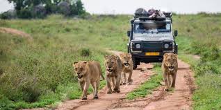 Explore Uganda