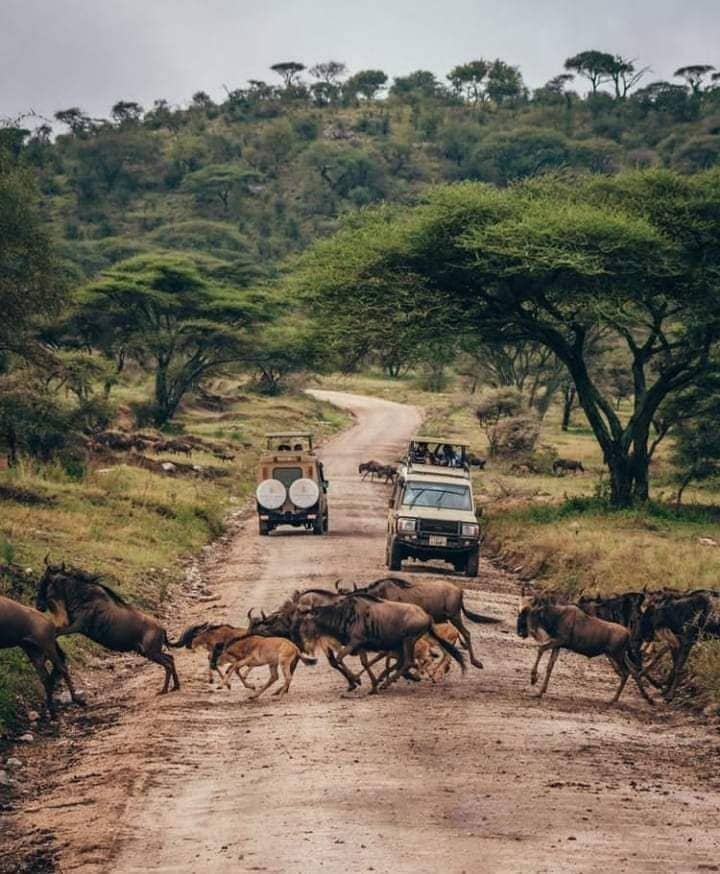 Serengeti National Park
