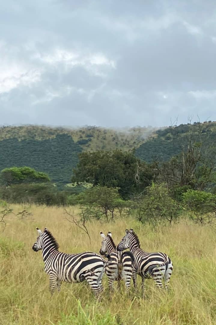 Akagera National Park
