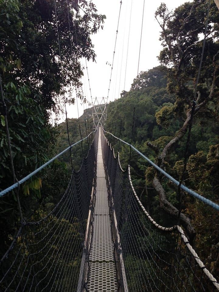 Nyungwe Forest National Park